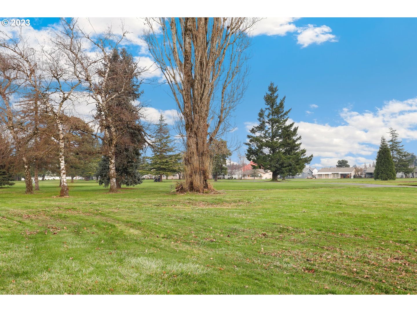654 Oregon Way Woodburn, OR 97071 - Photo 29 of 32 Gallery Image 29