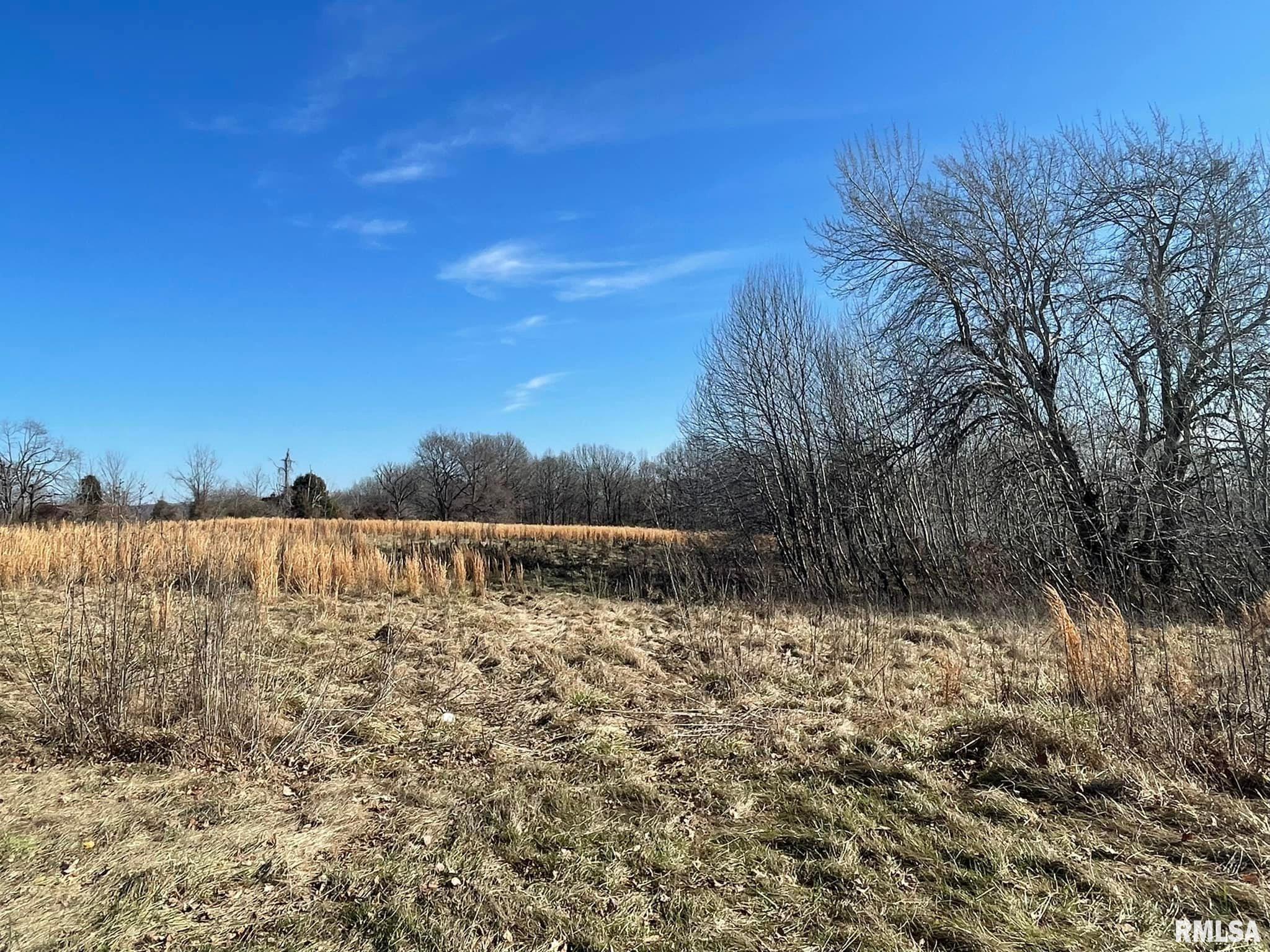 6766 Walnut Ridge Road Grantsburg, IL 62943 - Photo 7 of 20