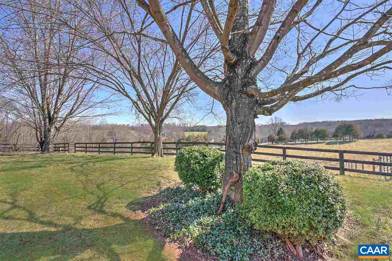 481 Beautiful Run Road Rochelle, VA 22738 - Photo 39 of 45 a view of a backyard with large trees