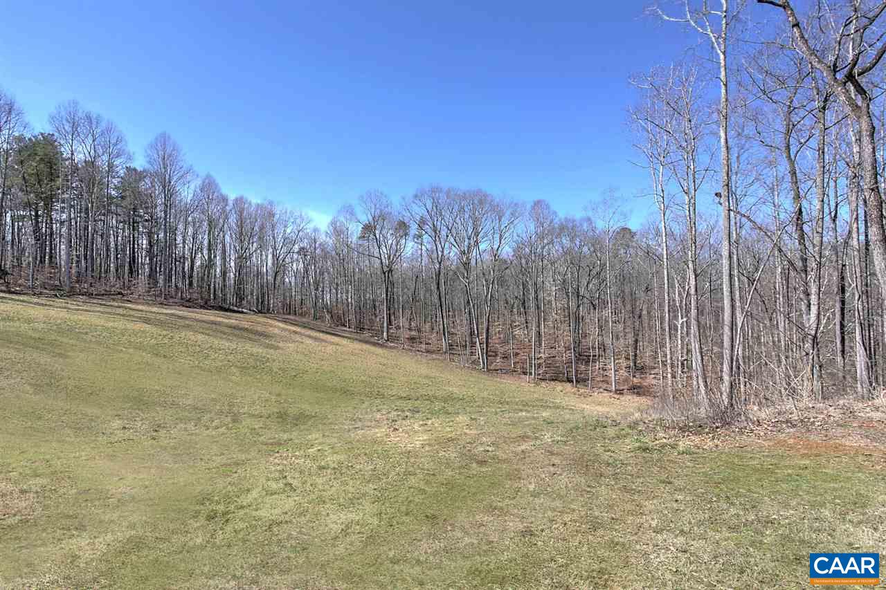 481 Beautiful Run Road Rochelle, VA 22738 - Photo 43 of 45 a view of a yard with trees