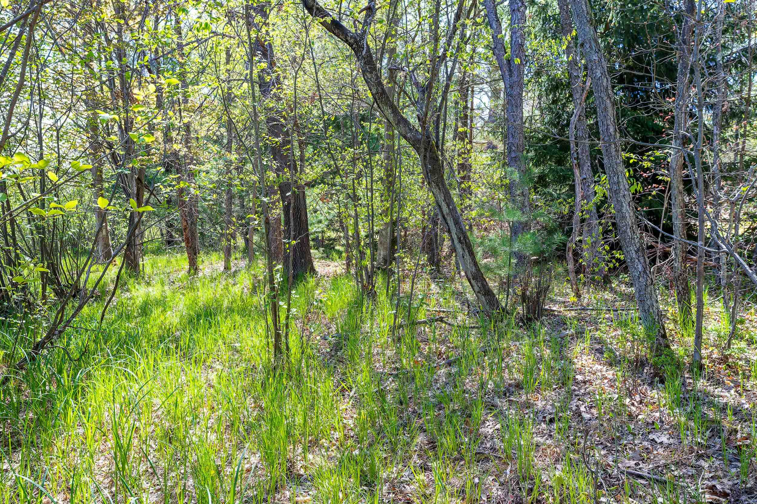 0 Makinen Road Kaleva, MI 49645 - Photo 9 of 25