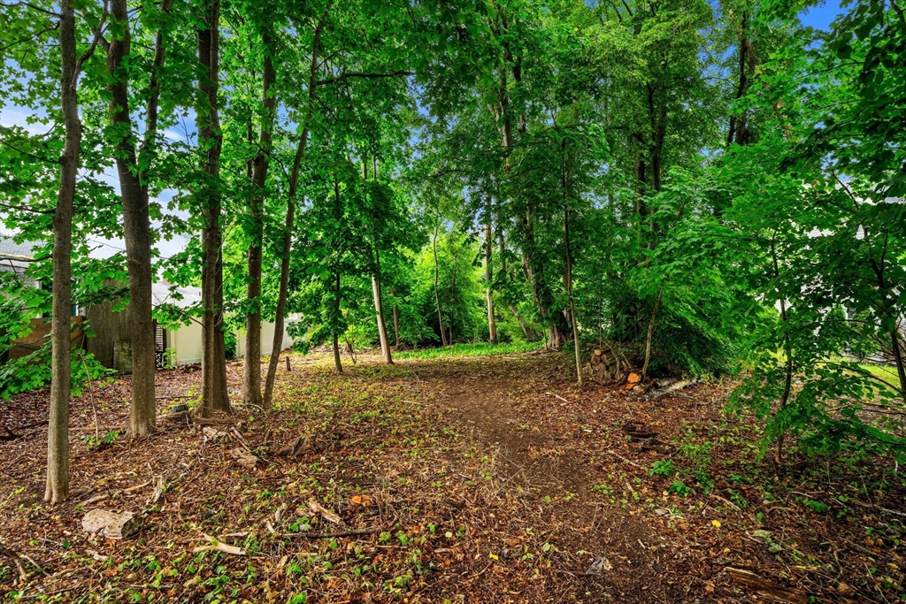 239 Nahant Road Nahant, MA 01908 - Photo 13 of 40