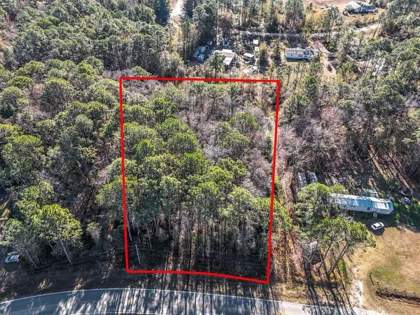 a view of a flower arrangement in backyard of a house