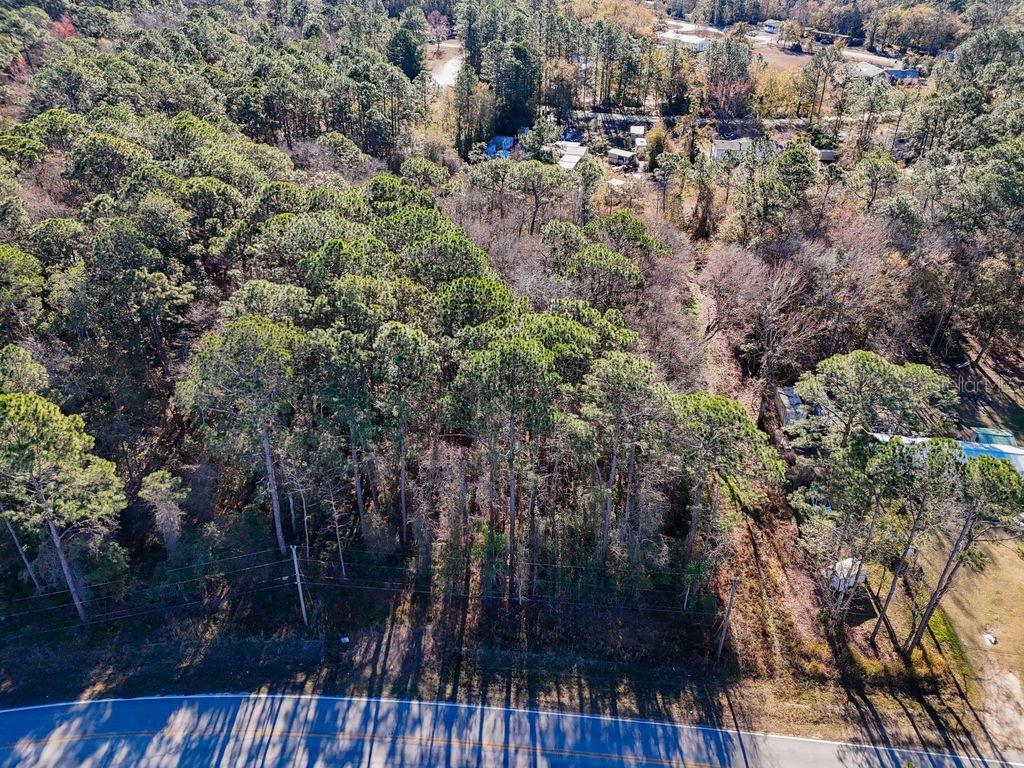 2223 Cosmos Avenue Middleburg, FL 32068 - Photo 11 of 17