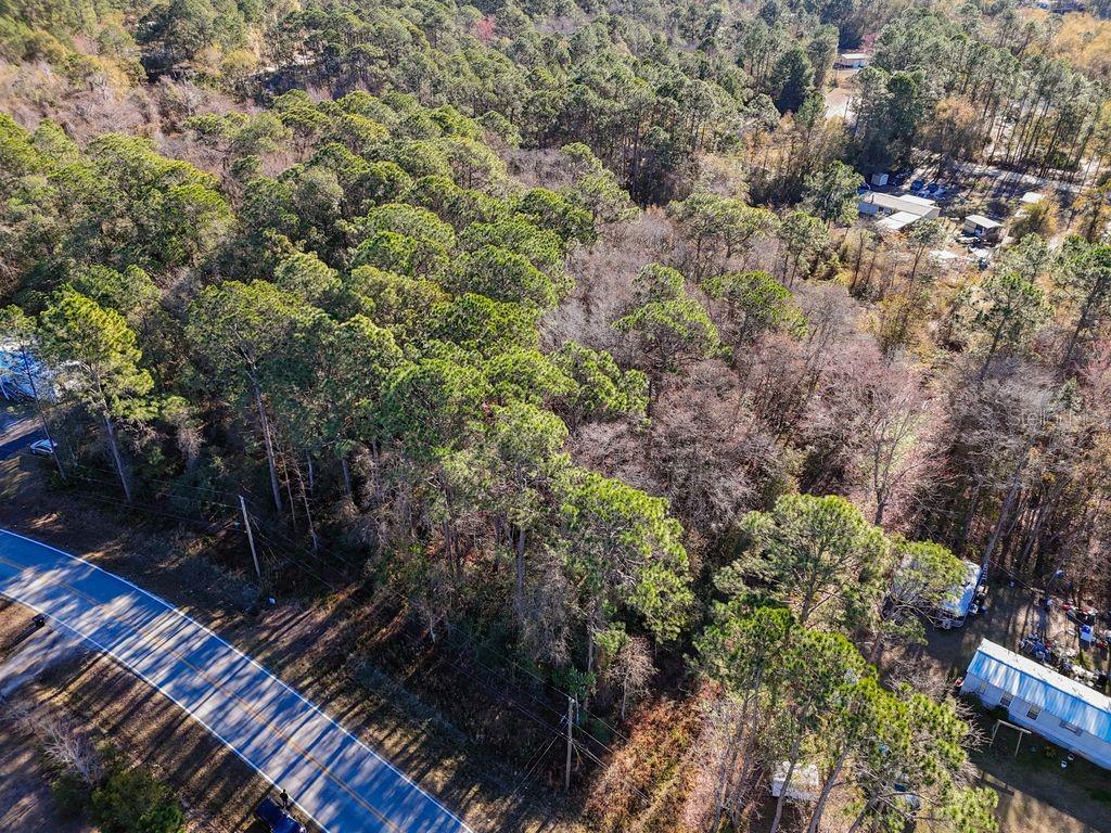 2223 Cosmos Avenue Middleburg, FL 32068 - Photo 12 of 17