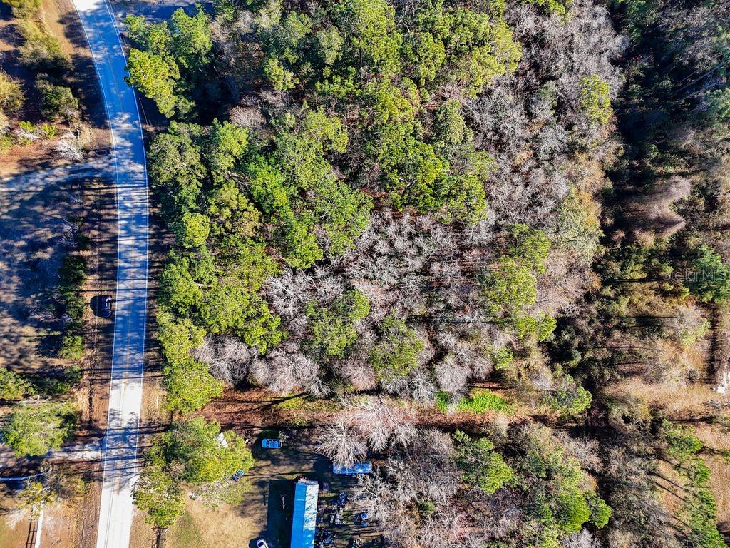 2223 Cosmos Avenue Middleburg, FL 32068 - Photo 13 of 17