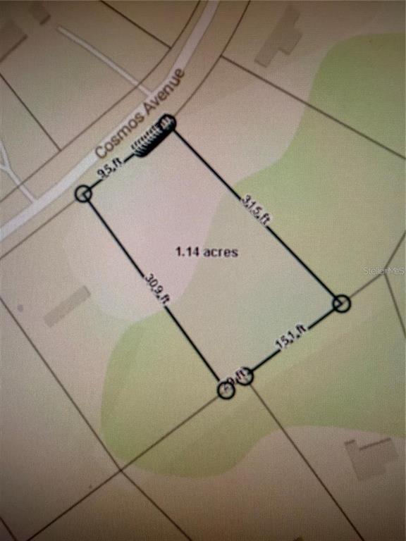 2223 Cosmos Avenue Middleburg, FL 32068 - Photo 17 of 17