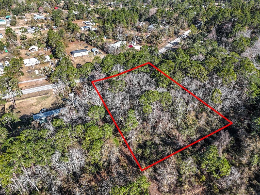 2223 Cosmos Avenue Middleburg, FL 32068 - Photo 2 of 17