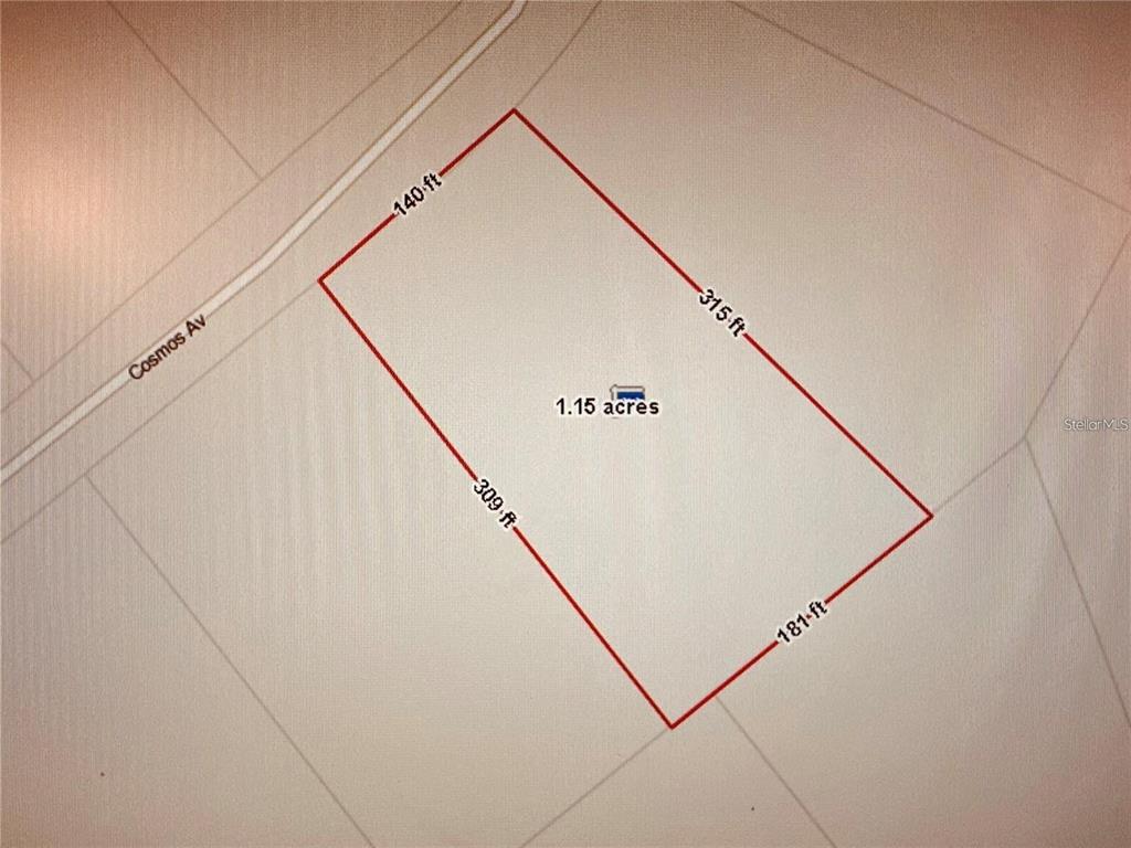 2223 Cosmos Avenue Middleburg, FL 32068 - Photo 4 of 17