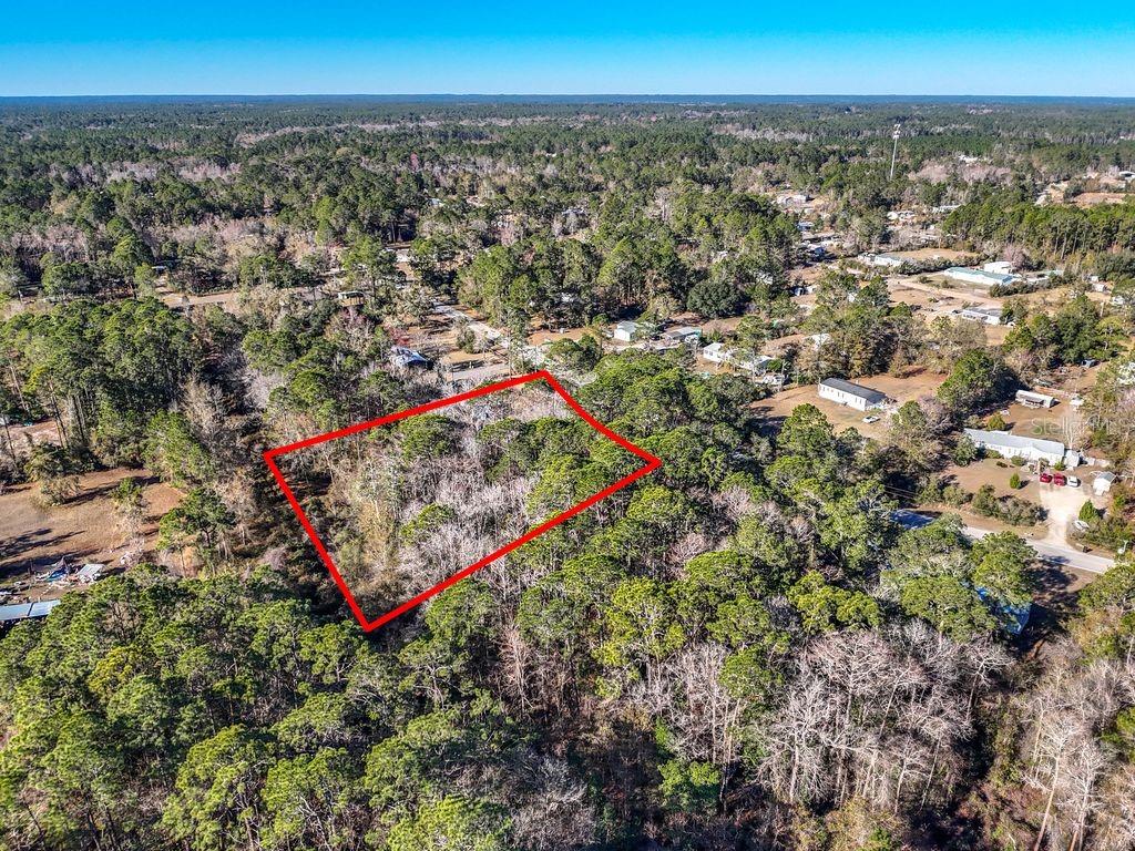 2223 Cosmos Avenue Middleburg, FL 32068 - Photo 5 of 17