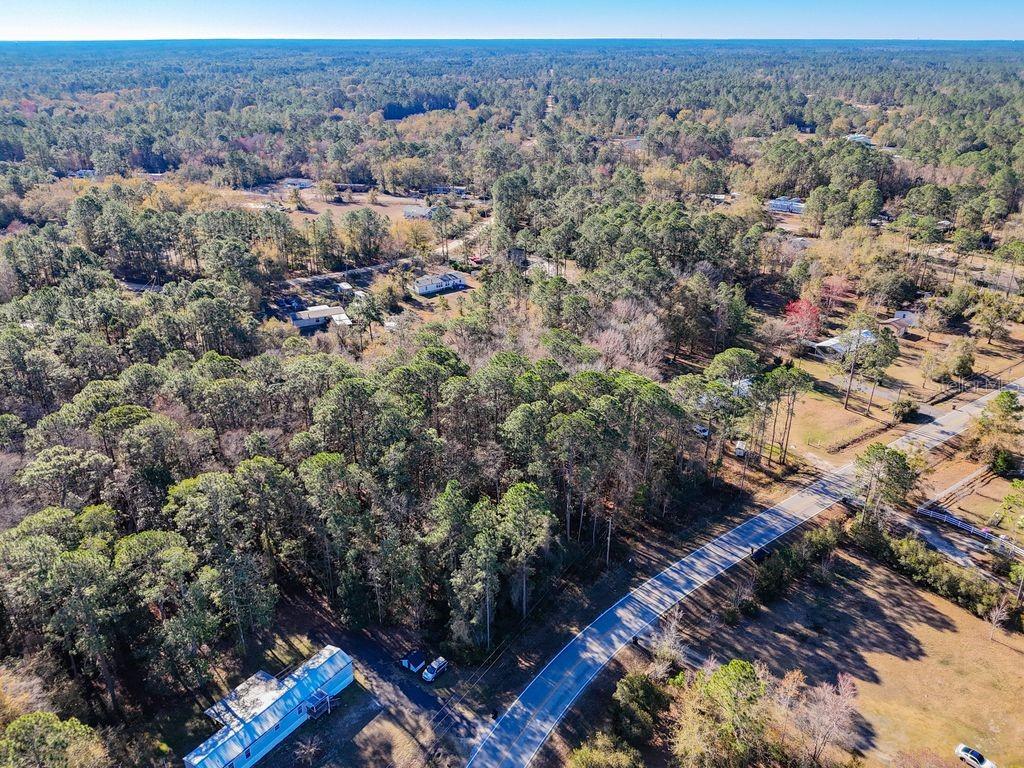 2223 Cosmos Avenue Middleburg, FL 32068 - Photo 8 of 17