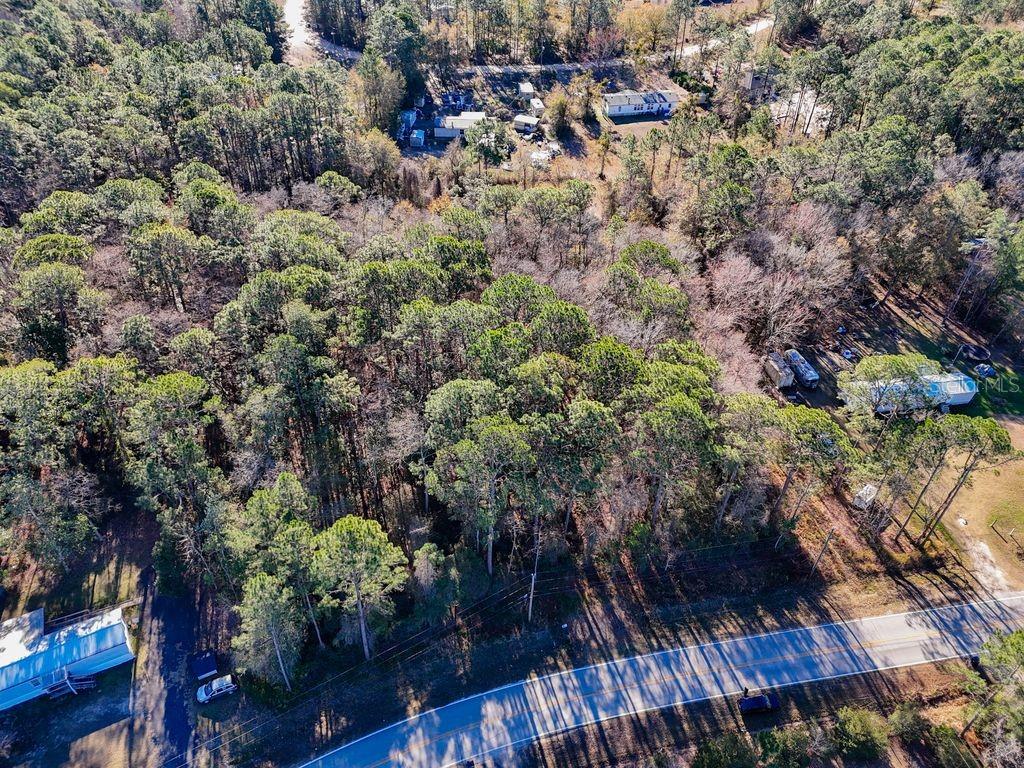 2223 Cosmos Avenue Middleburg, FL 32068 - Photo 9 of 17