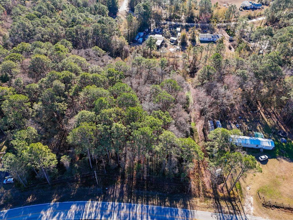 2223 Cosmos Avenue Middleburg, FL 32068 - Photo 10 of 17