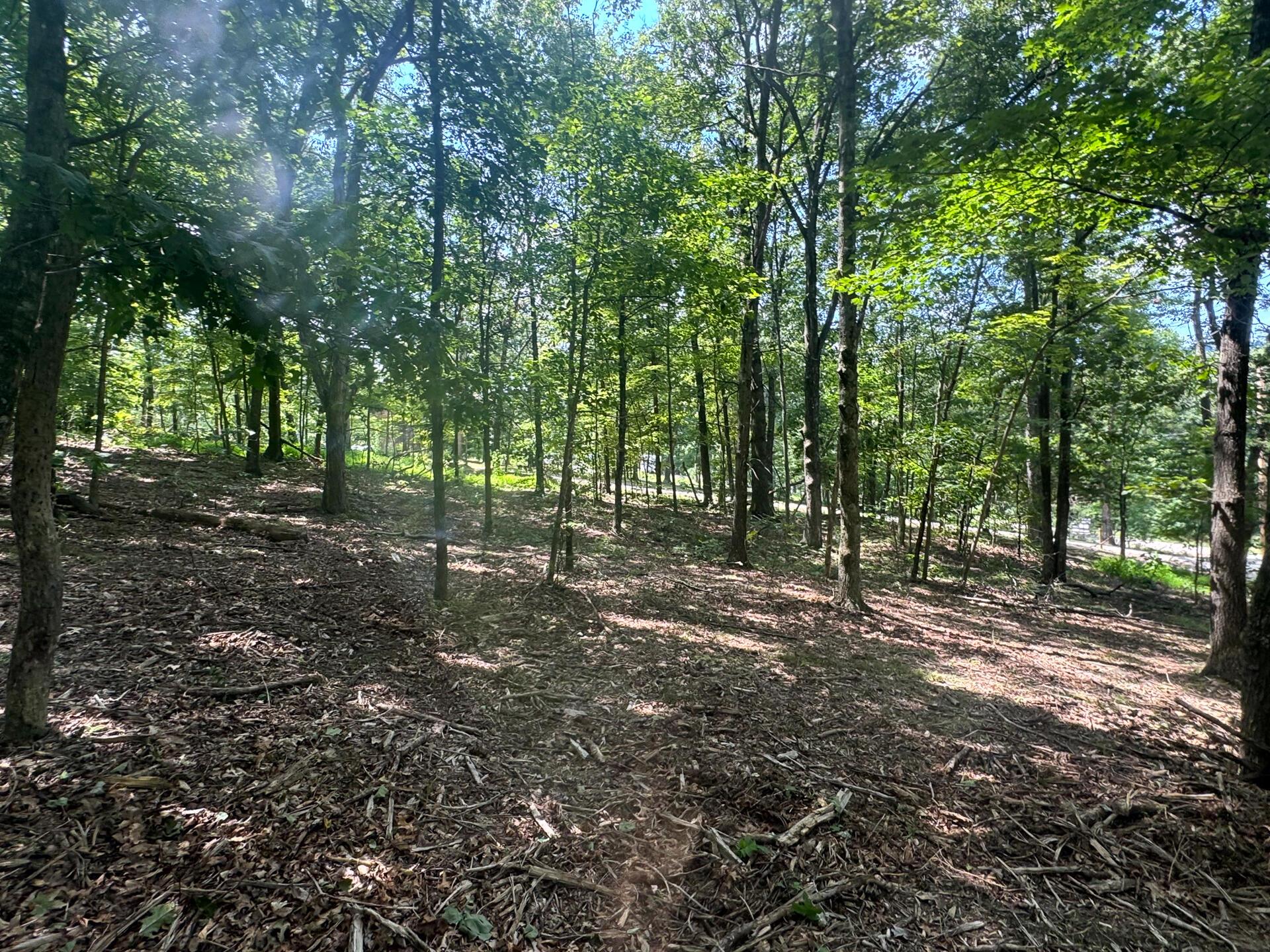 286 Golf Course Road, Unit TRACT 7 SKYLINEACRES) Waverly, OH 45690 - Photo 15 of 46 CT-15