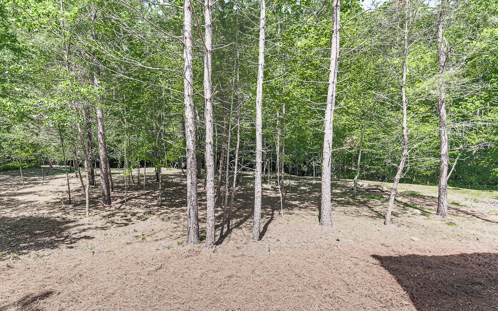 611 Timber Lake Road Blue Ridge, GA 30513 - Photo 15 of 21 Additional View