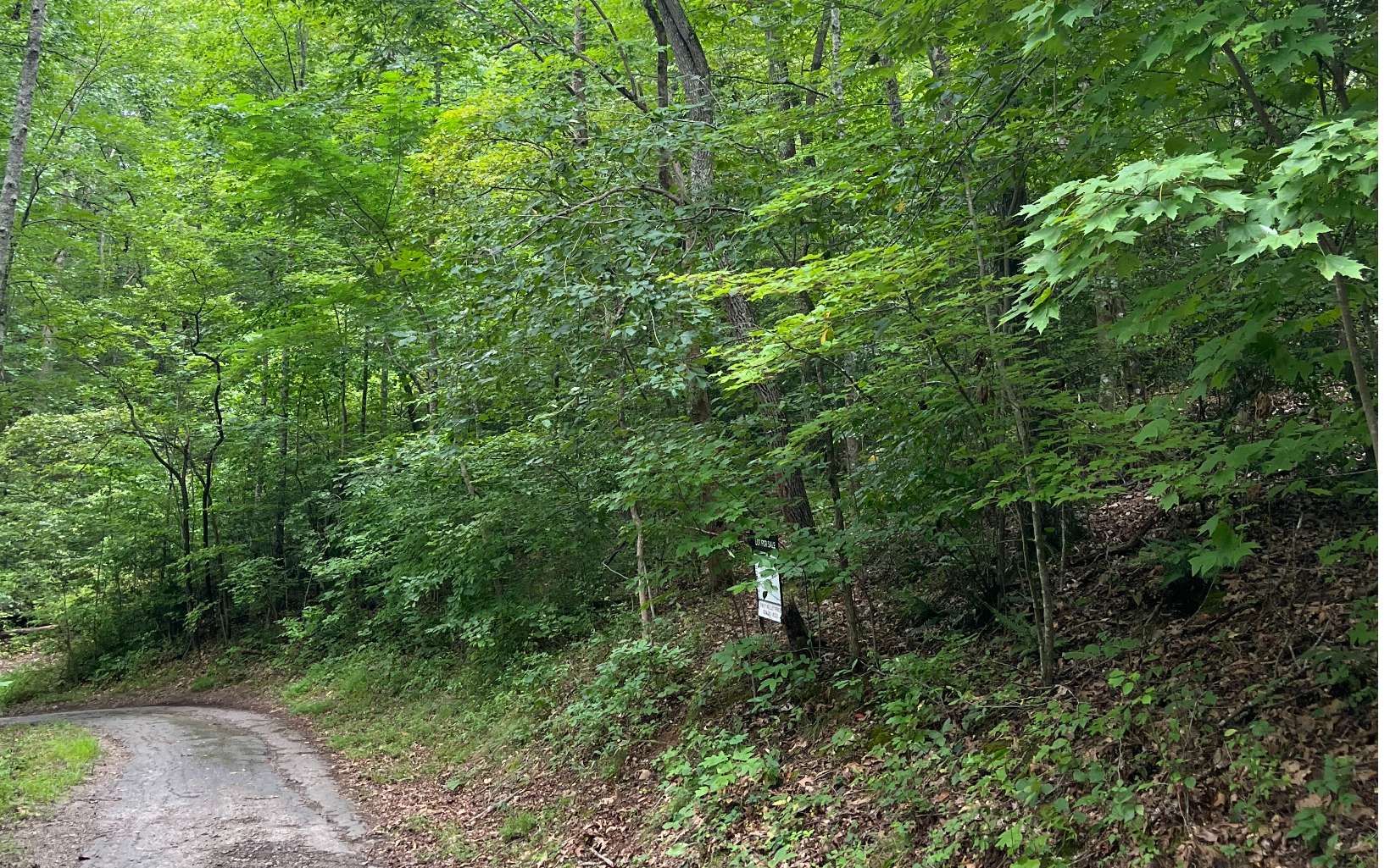 Lot 12 Kilpatrick Point Terrace Hayesville, NC 28904 - Photo 12 of 13 a view of a lush green forest