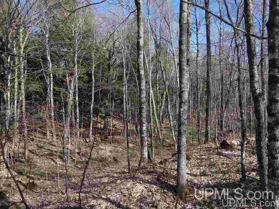 Tbd Off Ravine River Road Skanee, MI 49962 - Photo 16 of 20