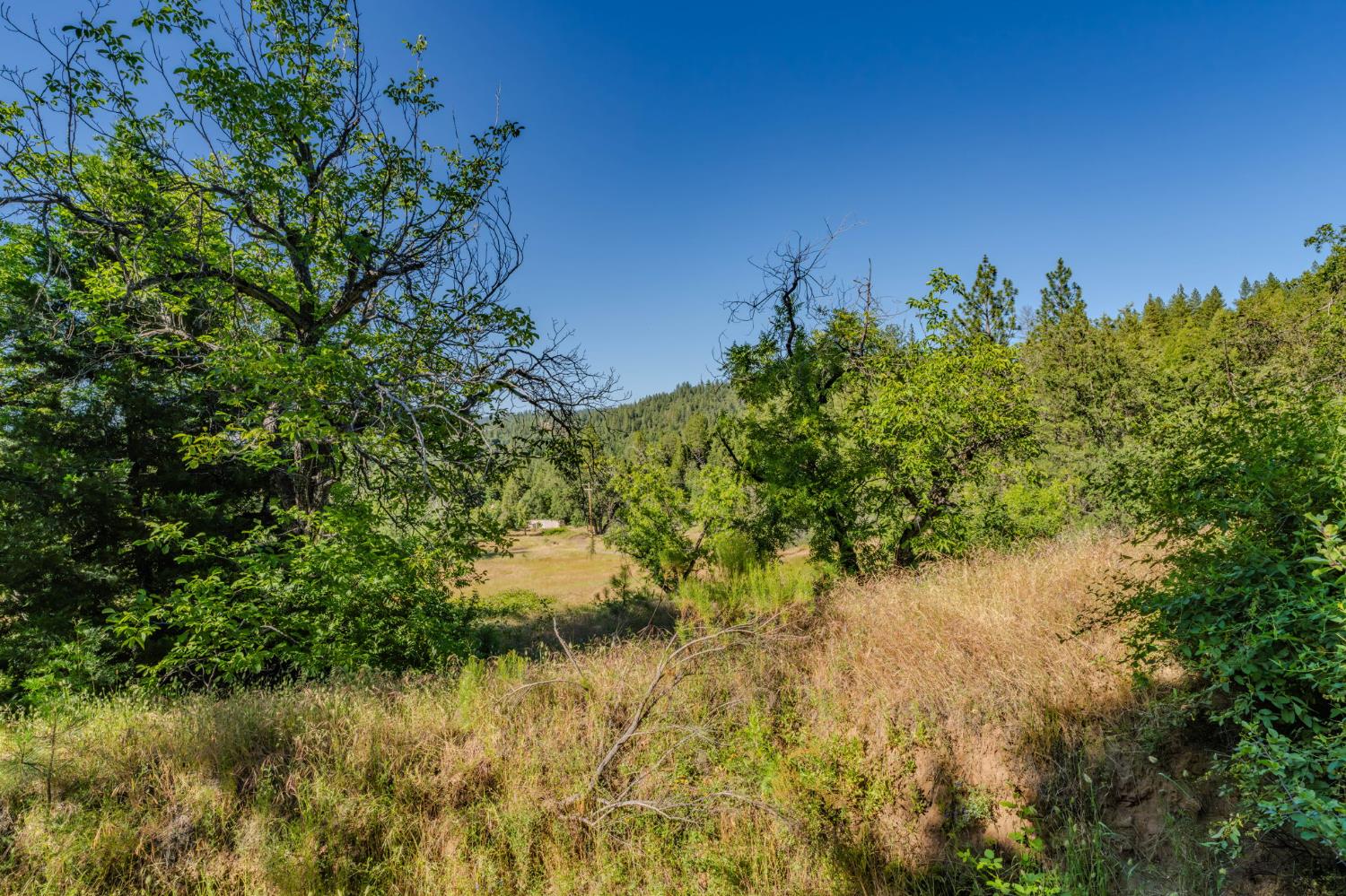 0 Schaefer Ranch Road Pioneer, CA 95666 - Photo 49 of 72