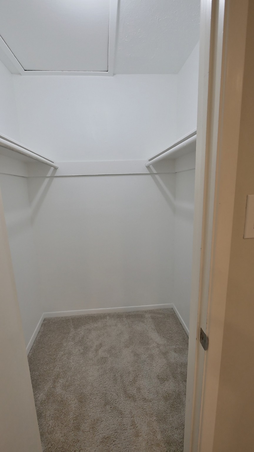 21626 Park Tree Lane Katy, TX 77450 - Photo 21 of 28 Primary Closet #1