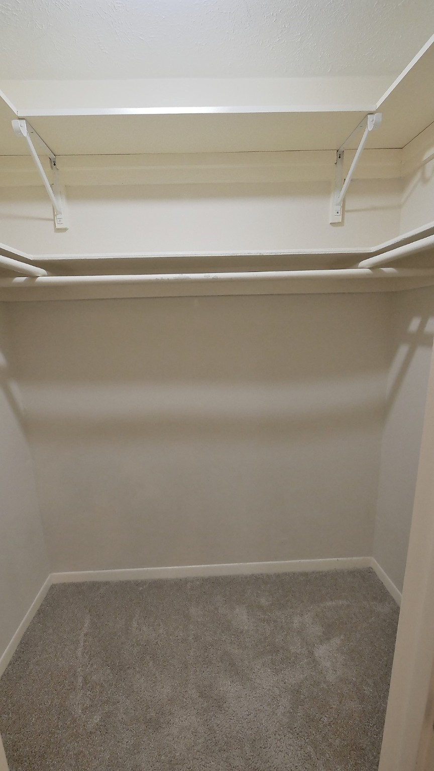 21626 Park Tree Lane Katy, TX 77450 - Photo 22 of 28 Primary Closet #2