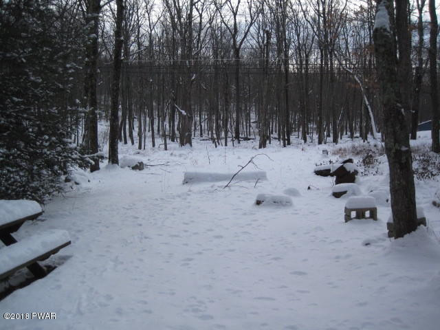215 Brewster Road Dingmans Ferry, PA 18328 - Photo 3 of 7 5 MORE BACKYARD