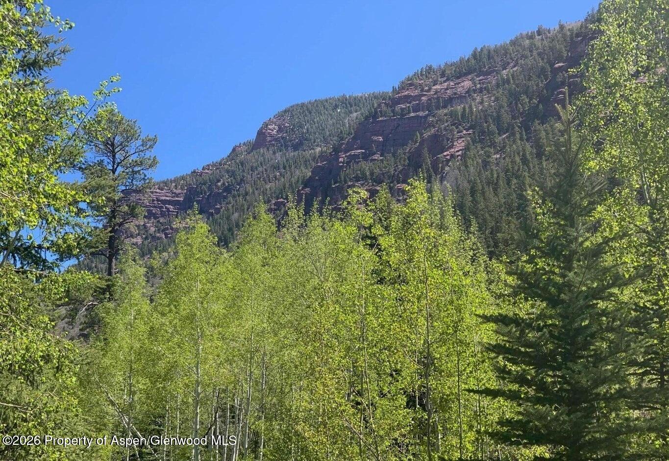 250 East Creek Road Carbondale, CO 81623 - Photo 3 of 6 04
