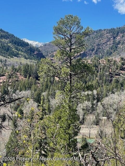 250 East Creek Road Carbondale, CO 81623 - Photo 4 of 6 a view of a field