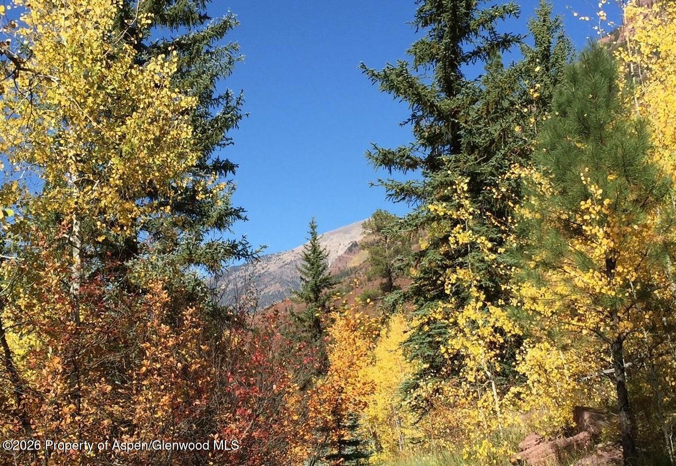250 East Creek Road Carbondale, CO 81623 - Photo 5 of 6 05