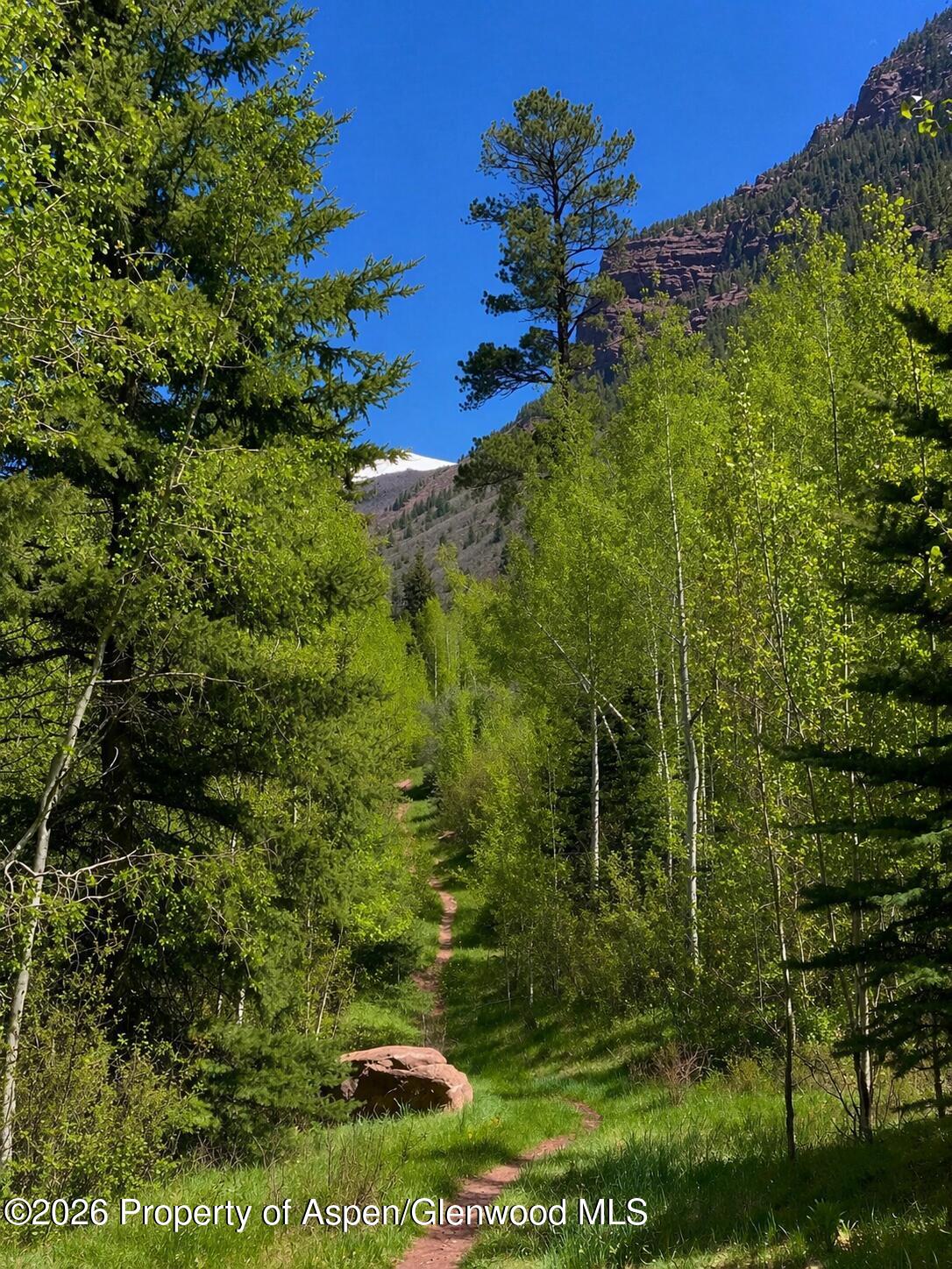 250 East Creek Road Carbondale, CO 81623 - Photo 6 of 6 a view of a yard