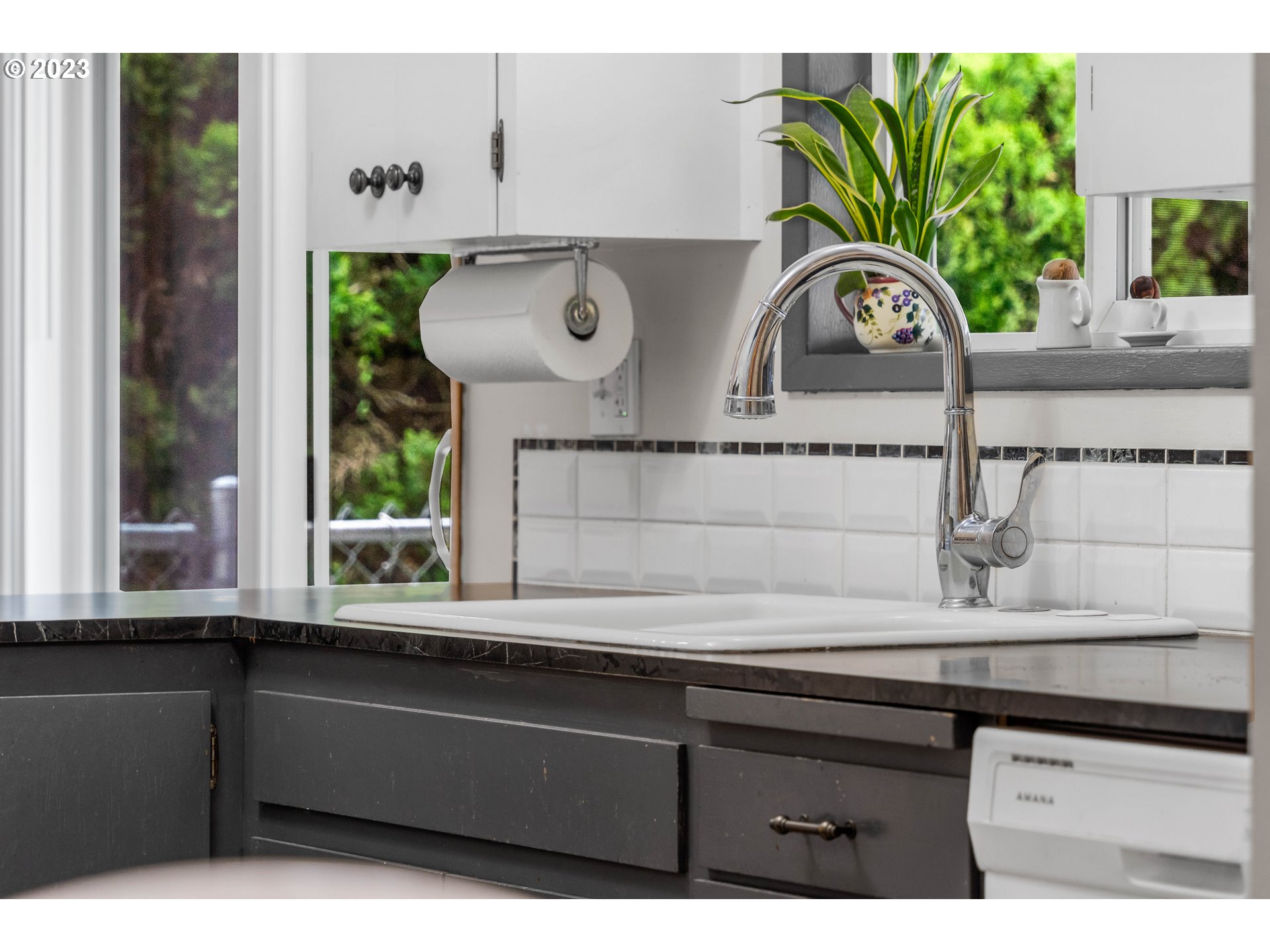 943 Oregon Way Woodburn, OR 97071 - Photo 12 of 39 a closeup of a sink with a potted plant on a counter