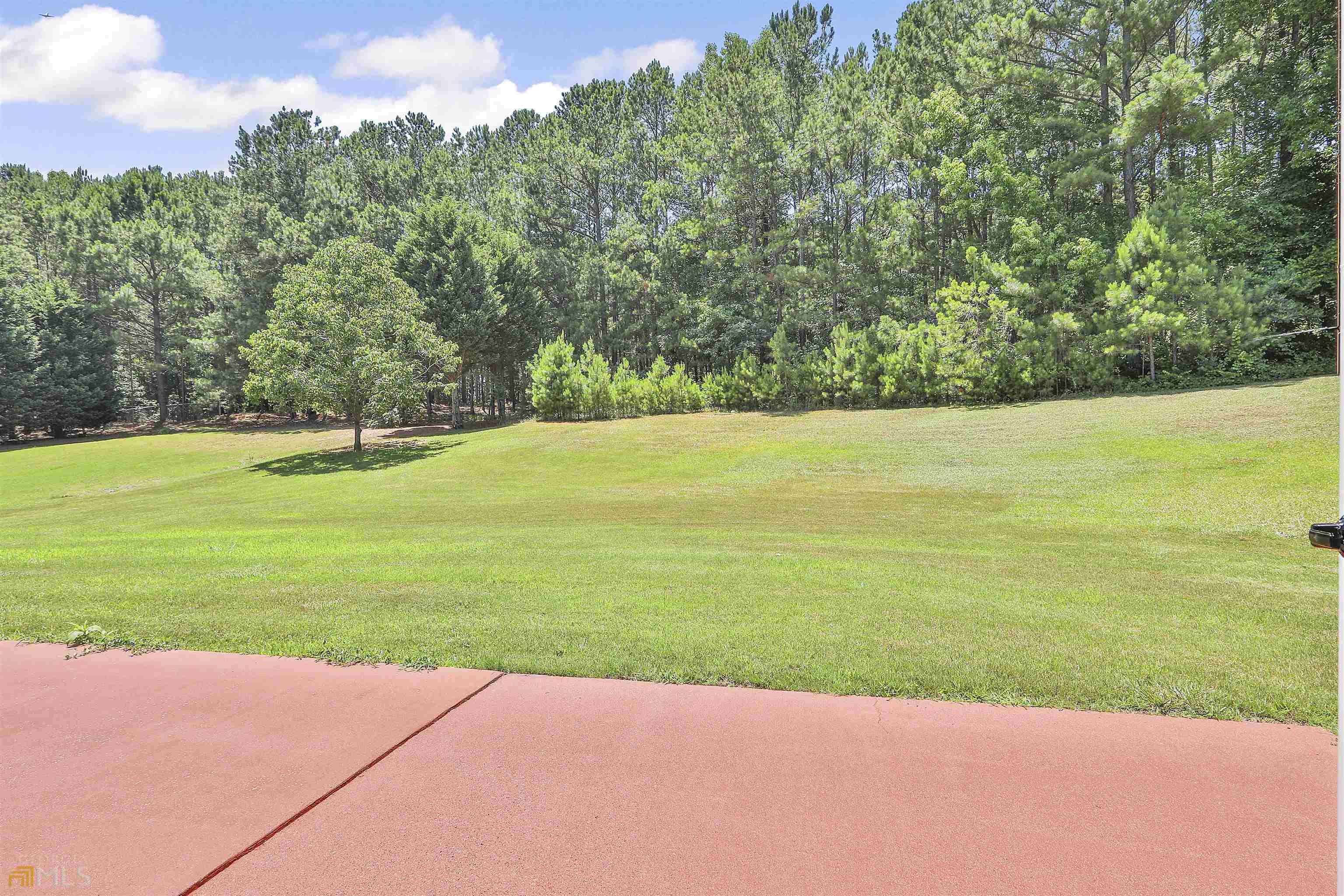 100 Riverside Walk Sharpsburg, GA 30277 - Photo 35 of 52