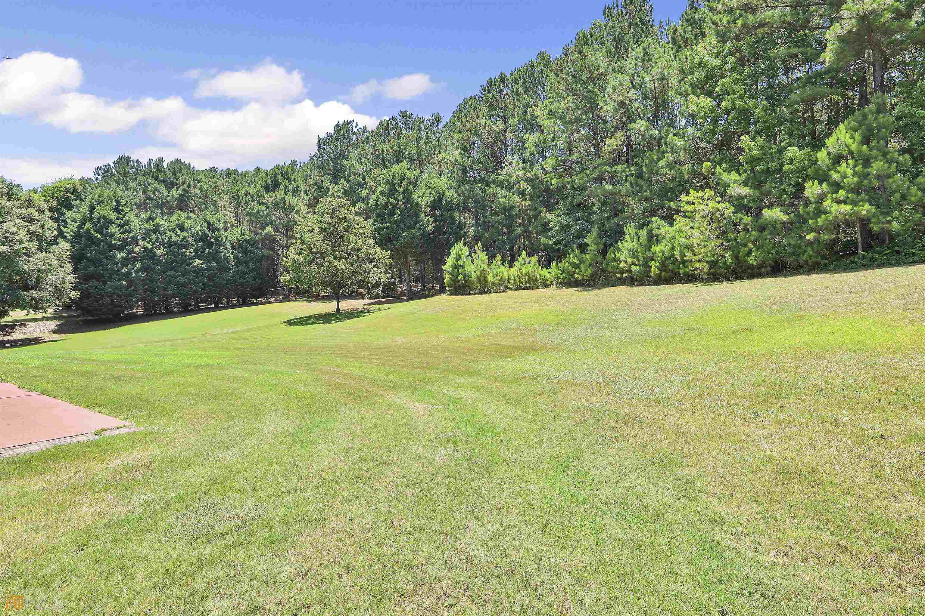 100 Riverside Walk Sharpsburg, GA 30277 - Photo 37 of 52