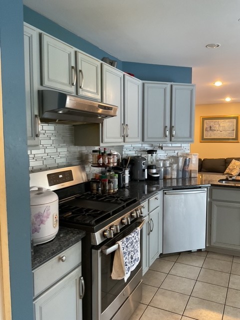 43 Augusta Drive Streamwood, IL 60107 - Photo 11 of 38