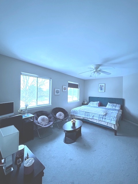 43 Augusta Drive Streamwood, IL 60107 - Photo 17 of 38