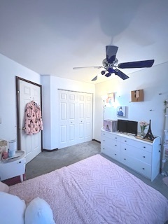 43 Augusta Drive Streamwood, IL 60107 - Photo 22 of 38