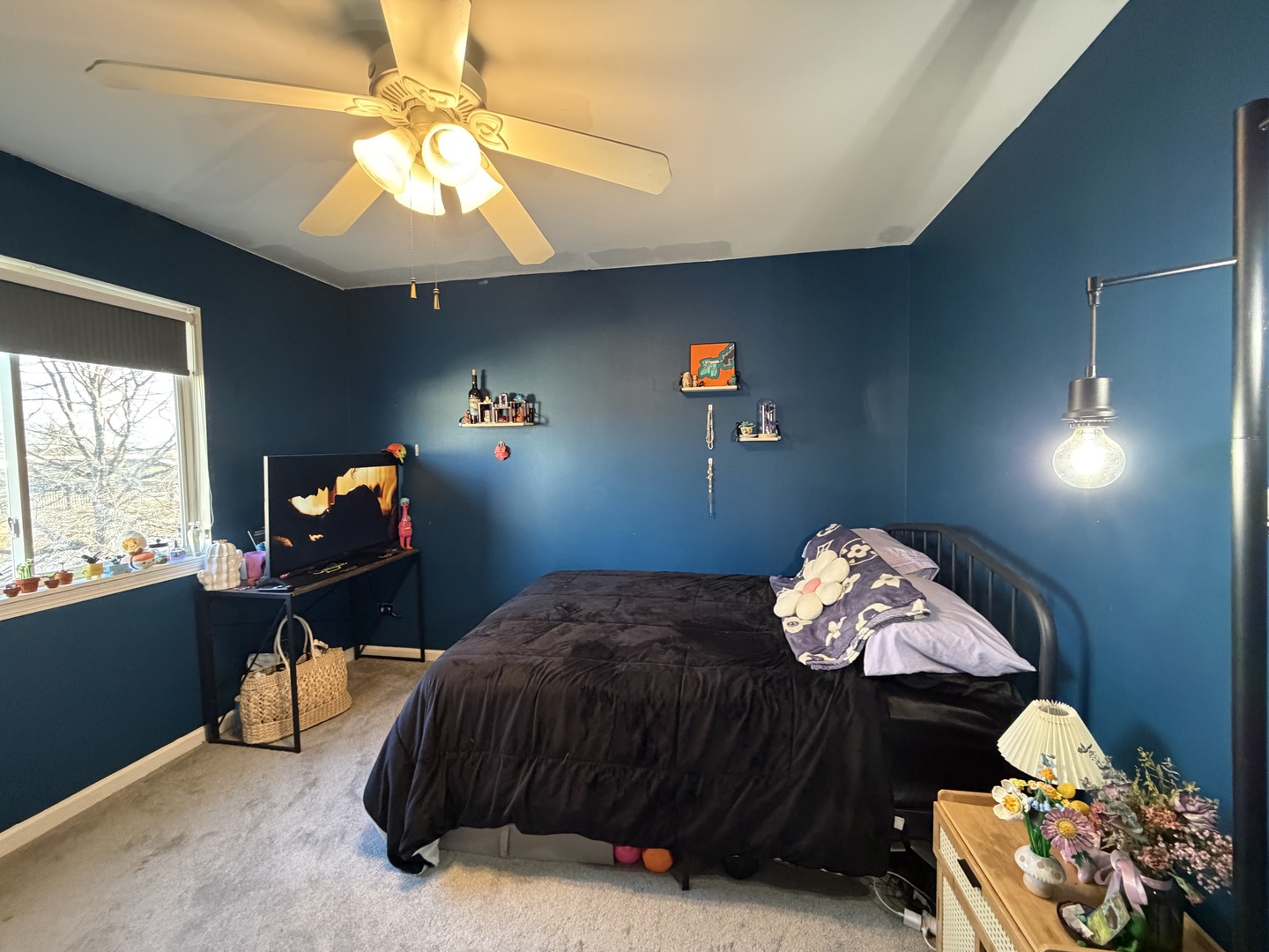 43 Augusta Drive Streamwood, IL 60107 - Photo 23 of 38