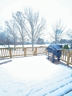 43 Augusta Drive Streamwood, IL 60107 - Photo 33 of 38