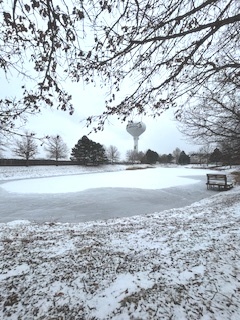 43 Augusta Drive Streamwood, IL 60107 - Photo 38 of 38