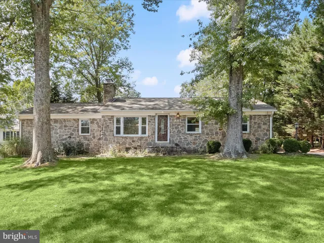 a view of a yard in front of a house with a large tree