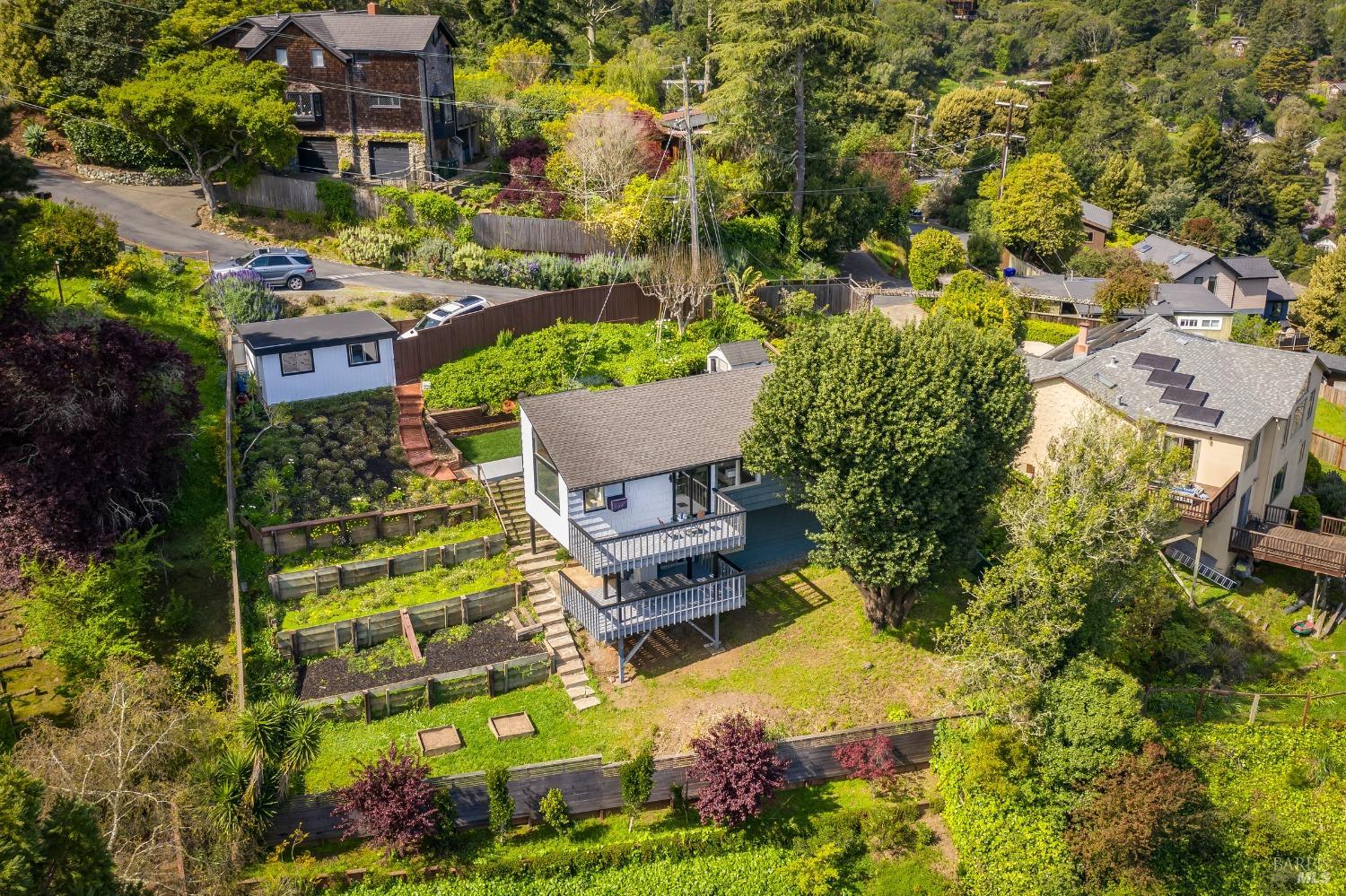 711 Alta Vista Road Mill Valley, CA 94941 - Photo 15 of 74 Ample size lot for vegetable gardens, grape vines, a play structure or a dog run.
