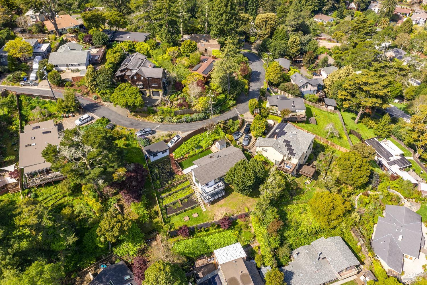 711 Alta Vista Road Mill Valley, CA 94941 - Photo 59 of 74