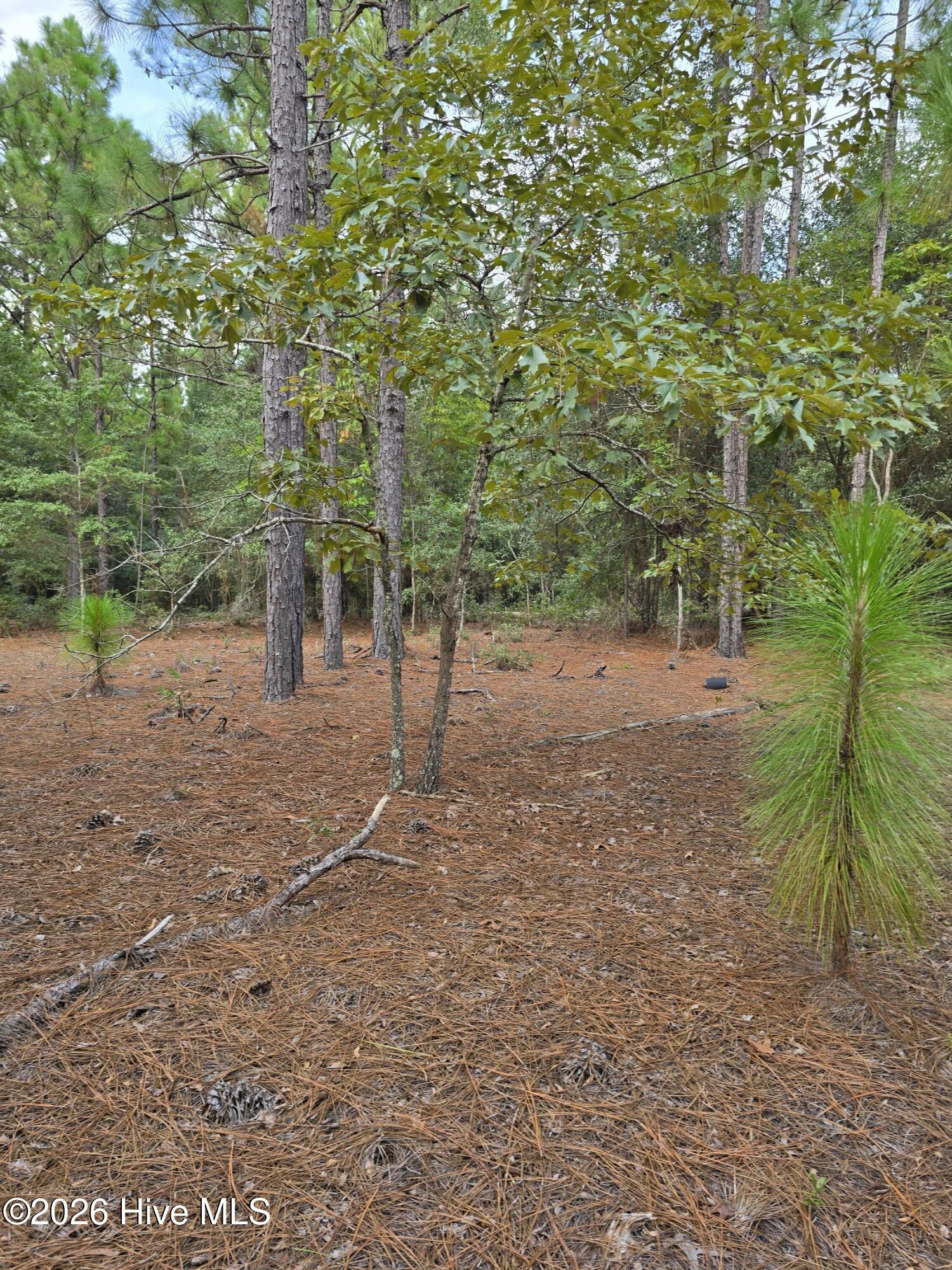 317 R J Johnson Road Martin, SC 29836 - Photo 8 of 8