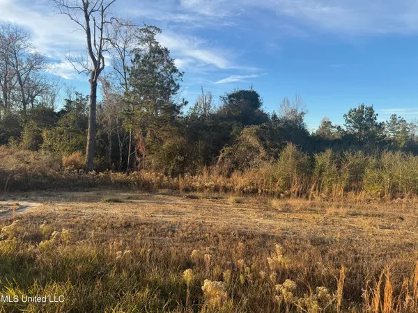 $120,000 | 12-acres 12-acres Parker Road, McHenry, MS 39561