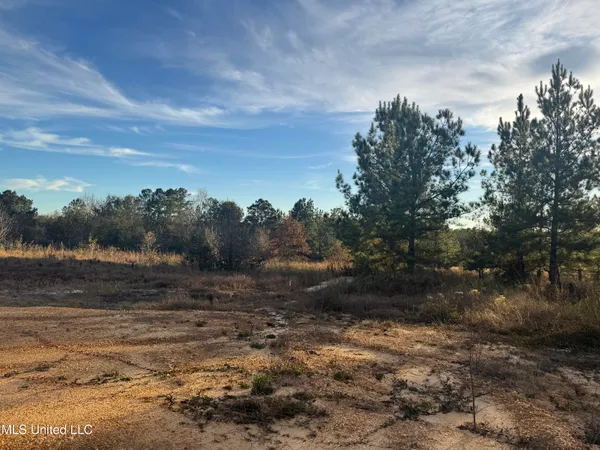 $120,000 | 12-acres 12-acres Parker Road, McHenry, MS 39561