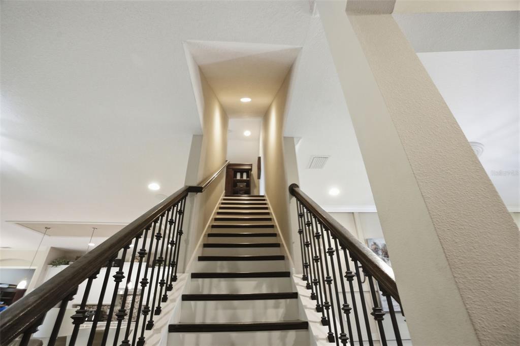 14100 Bassingthorpe Drive Spring Hill, FL 34609 - Photo 51 of 99