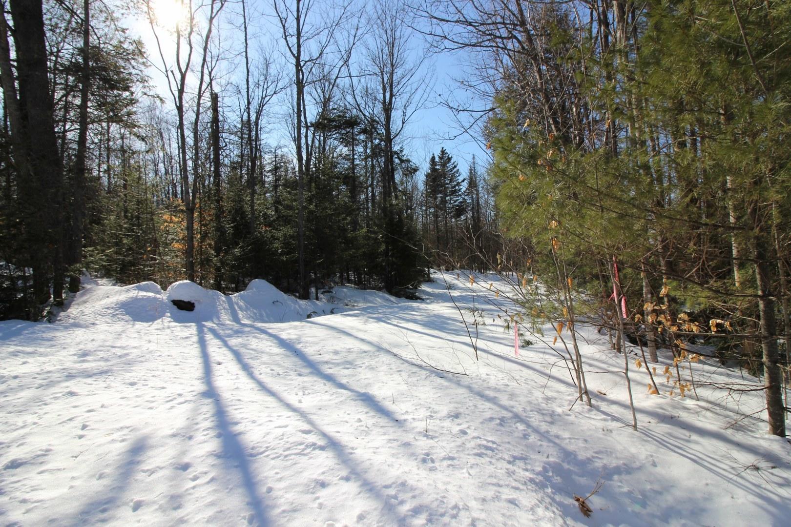 Tbd Tbd Holeman Road Rumford, ME 04276 - Photo 6 of 19 IMG_7846_1620x1080
