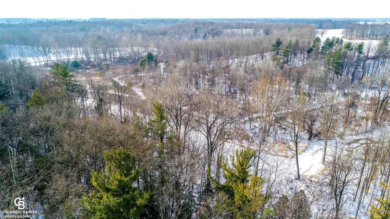 4691 Cribbins Road Avoca, MI 48006 - Photo 40 of 42 31337054-39.JPG