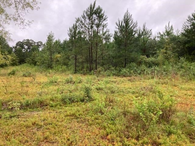 0 Gantt Red Level Road Andalusia, AL 36421 - Photo 2 of 4 Gallery Image 2