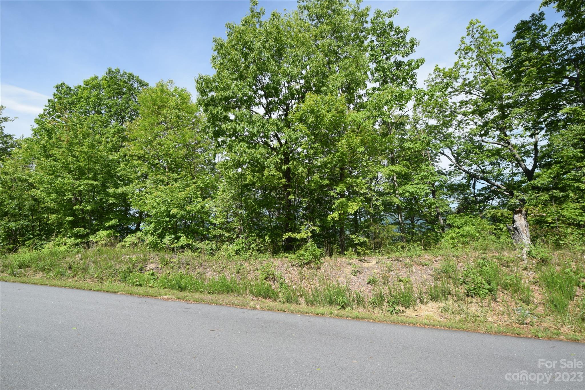 92 Devin Rdg Lane Union Mills, NC 28167 - Photo 15 of 28 a view of a yard and a street