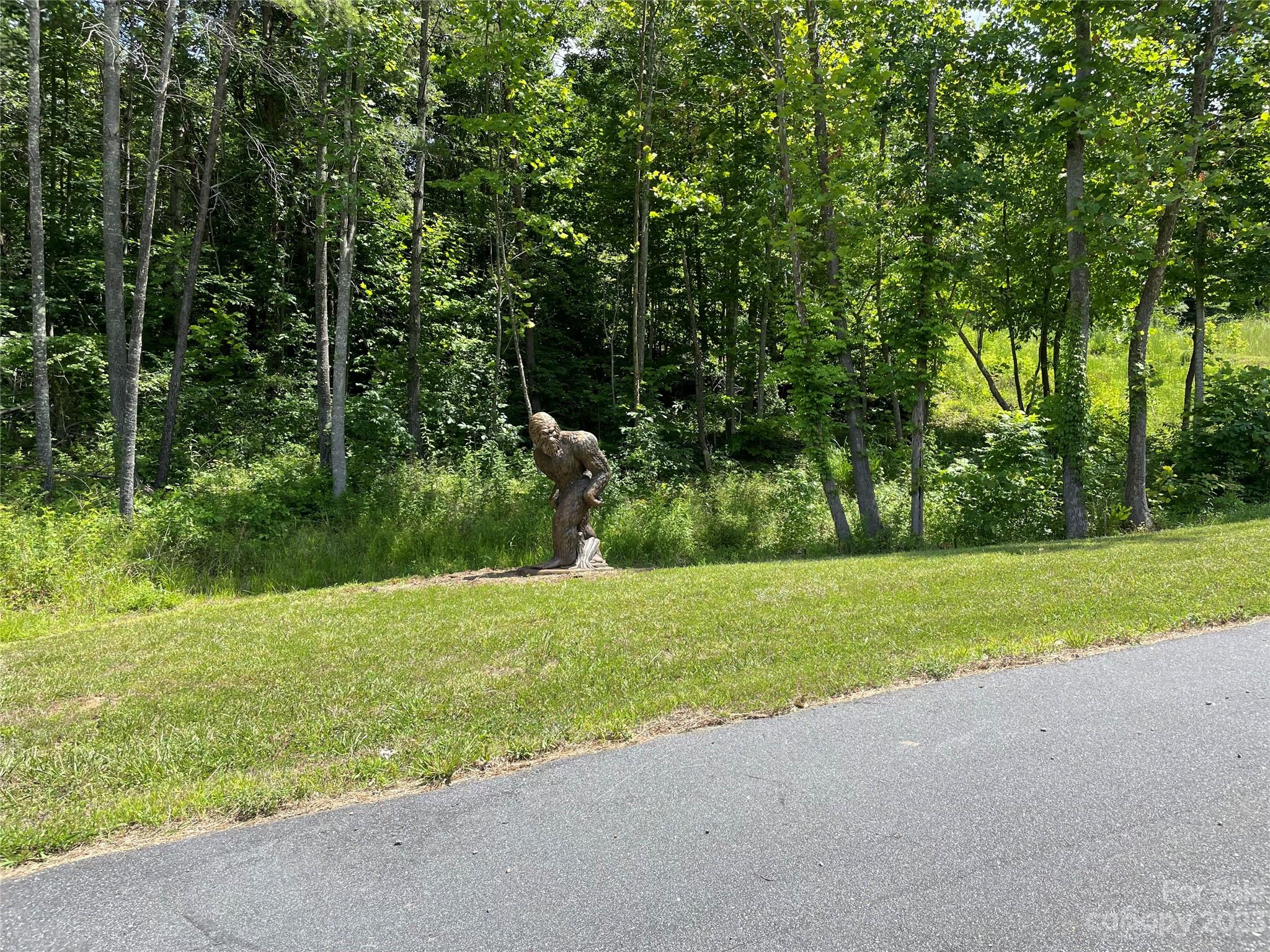 92 Devin Rdg Lane Union Mills, NC 28167 - Photo 17 of 28 a view of a field of grass and trees